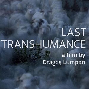 Photo La Dernière transhumance