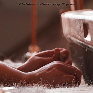 Photo Petite Laine