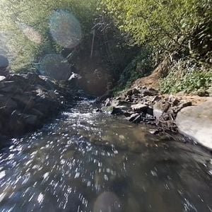 Photo La Vérité du sol