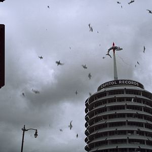 Photo Sharknado