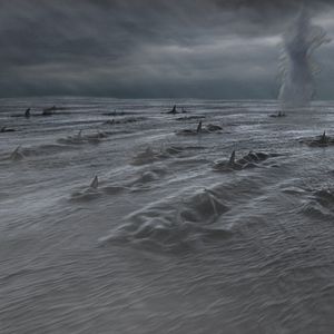 Photo Sharknado