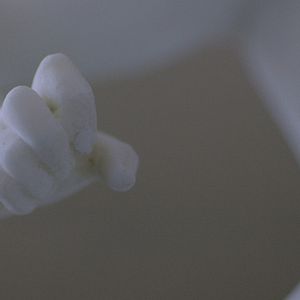 Photo Les Filles de Méduse