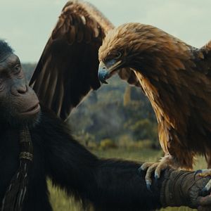Photo La Planète des Singes : Le Nouveau Royaume