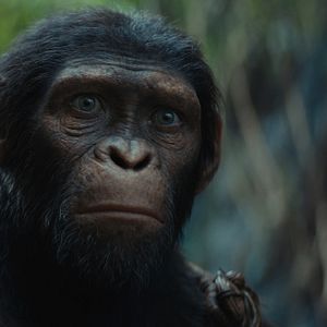Photo La Planète des Singes : Le Nouveau Royaume