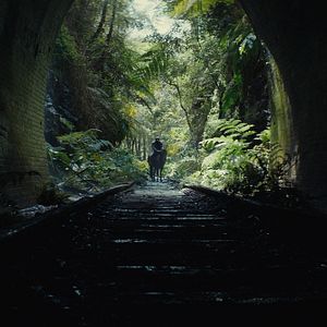 Photo La Planète des Singes : Le Nouveau Royaume