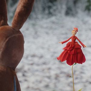 Photo Le Lapin de velours