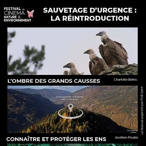 Photo Sauvetage d’urgence : la réintroduction