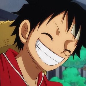 Photo One Piece