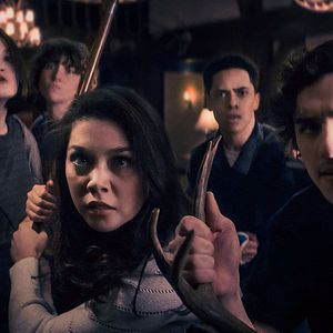 Photo Chair de poule