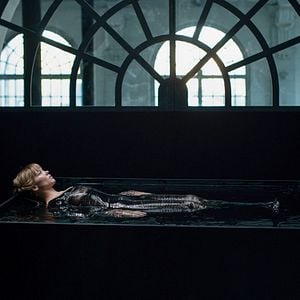 Photo La Bête