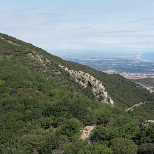 Photo A l'abri des activités humaines