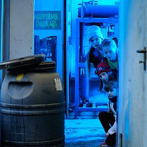 Photo Die Chaosschwestern und Pinguin Paul