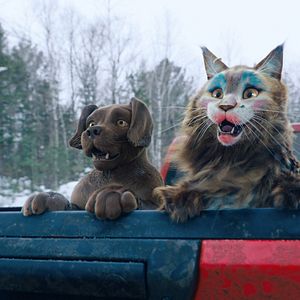 Photo Chien & Chat