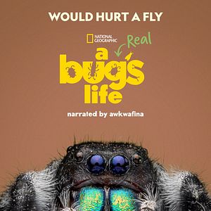 Photo 1001 vraies pattes