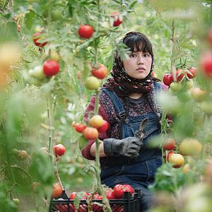 Photo Au pays de nos frères