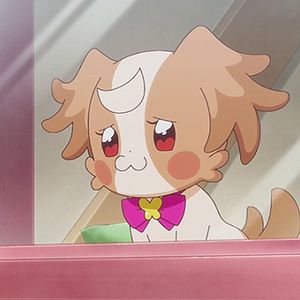 Photo Wonderful Precure!