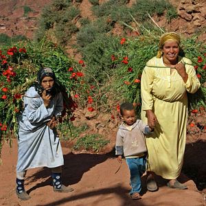 Photo Altaïr Conférences - Maroc, Amazirh : une année berbère
