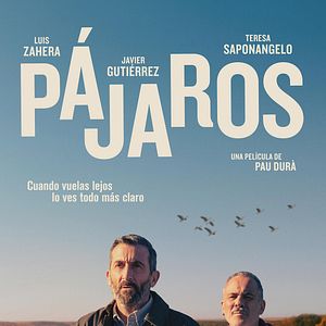 Photo Pájaros