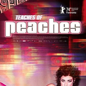 Photo Teaches Of Peaches