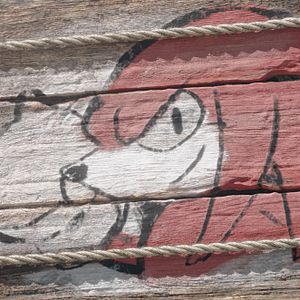 Photo Knuckles