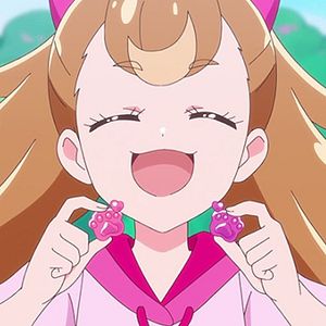 Photo Wonderful Precure!