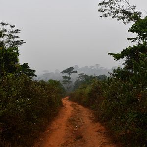Photo À quand l’Afrique?