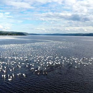Photo Le Québec À Vélo