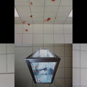 Photo 240 Hours in One Day