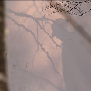 Photo Par-delà les silences