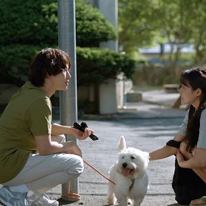 Photo Summer Strike
