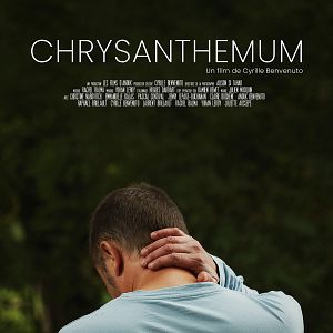 Photo Chrysanthemum