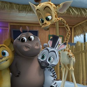 Photo Madagascar : la savane en délire