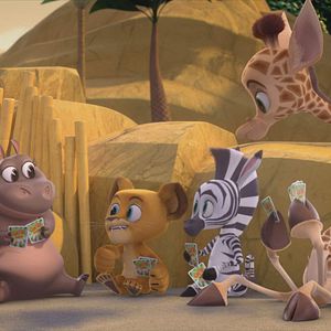 Photo Madagascar : la savane en délire