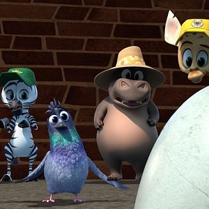 Photo Madagascar : la savane en délire