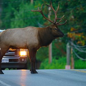 Photo Notre monde vivant