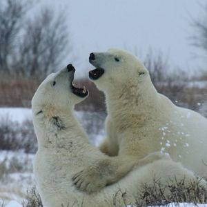 Photo Notre monde vivant