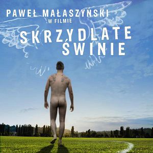Photo Skrzydlate swinie