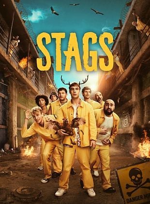 poster de la série Stags