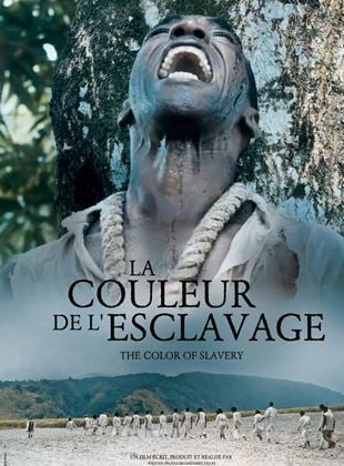 La Couleur de l'esclavage