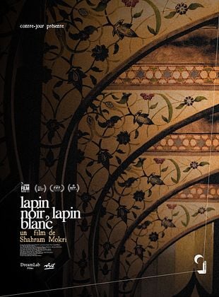 poster du film Lapin noir, lapin blanc