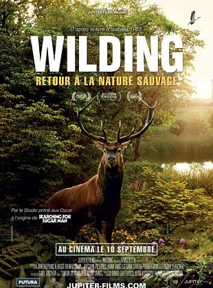 poster du film Wilding, Retour à la Nature Sauvage