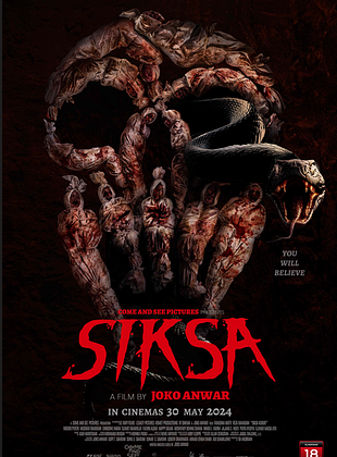 poster du film Grave Torture