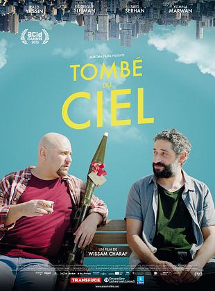 poster du film Tombé du ciel