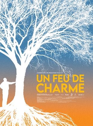 poster du film Un feu de charme