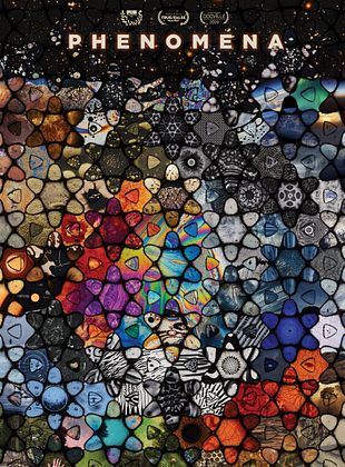 poster du film Phenomena