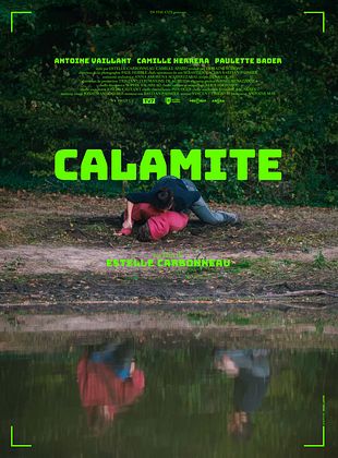poster du film Calamite