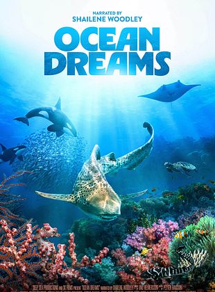 poster du film Ocean Dreams