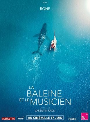 poster du film La Baleine et le musicien