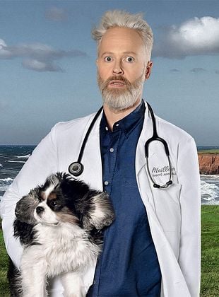 poster de la série Temps de chien