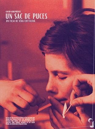 poster du film Bande-annonce Un sac de puces